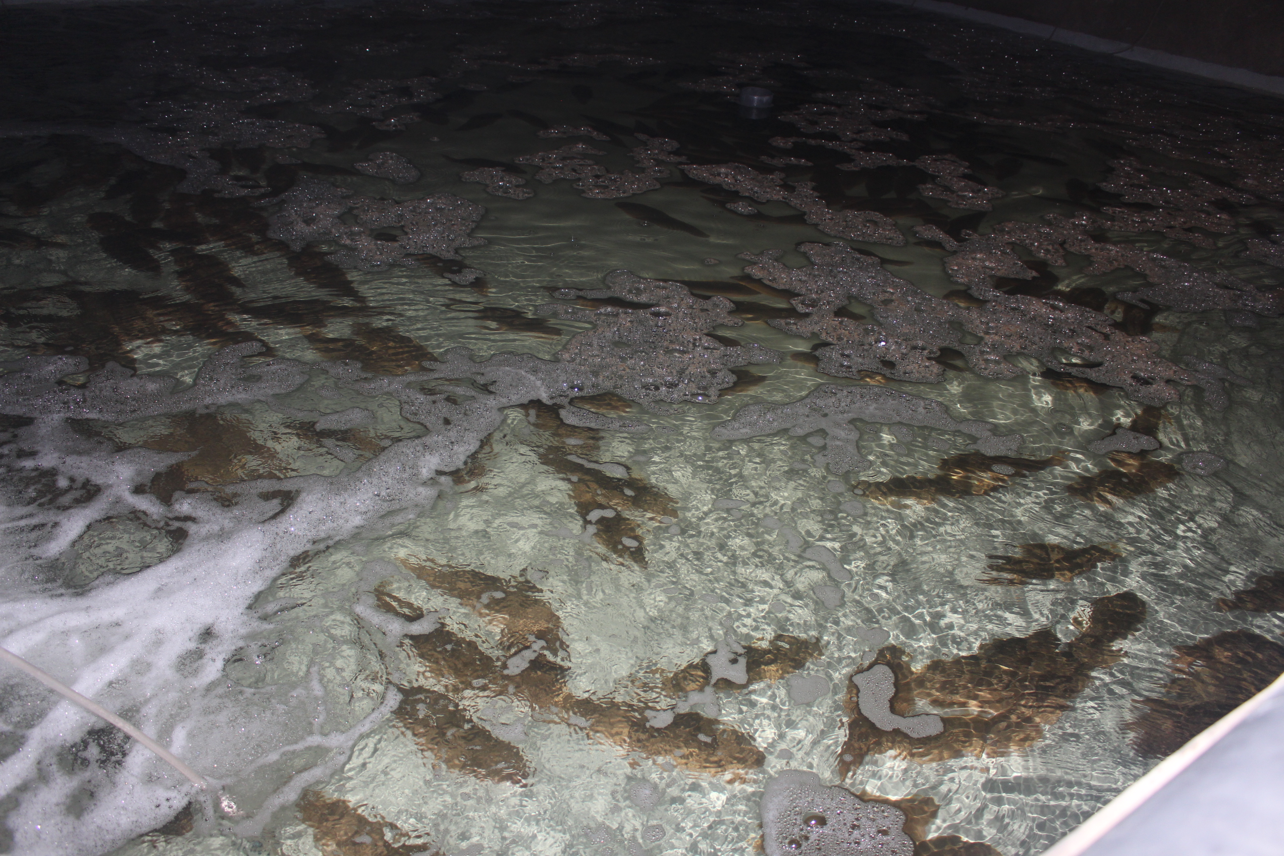 水产养殖业(图1)