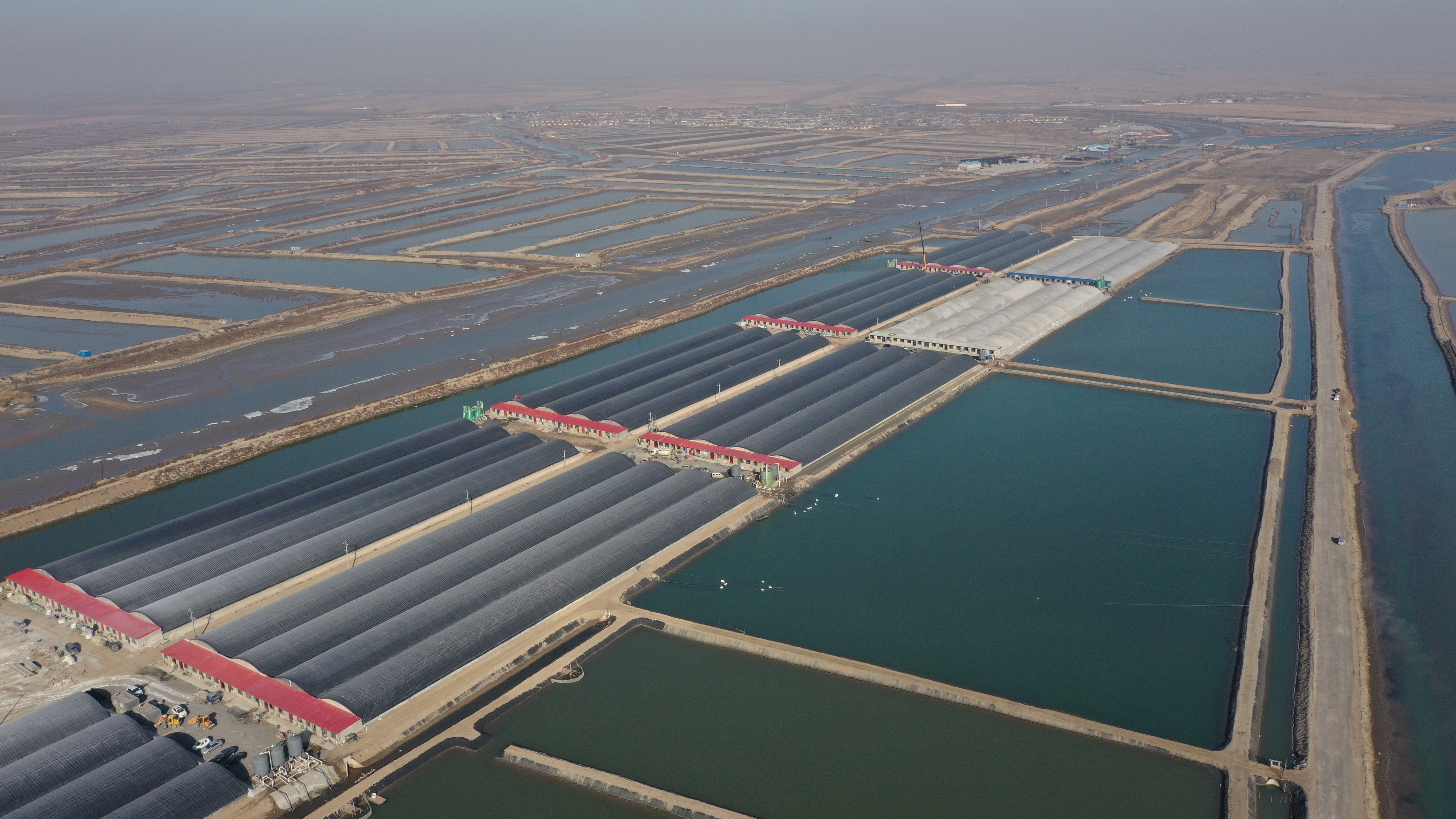 水产养殖业(图5)